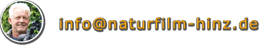 Naturfilm - Tierfilm - Hinz