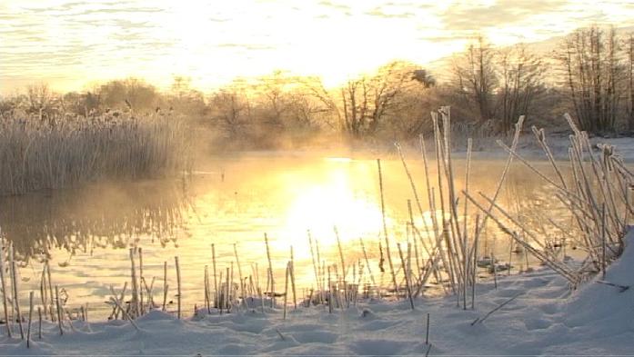 Naturfilm - Tierfilm - Hinz